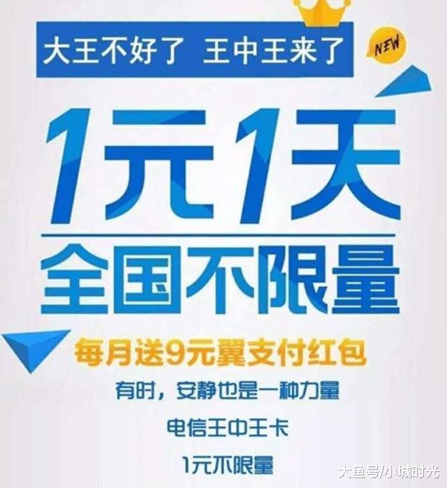 王中王新四不像一肖，揭秘背后的神秘面紗與SEO策略洞察，揭秘王中王新四不像一肖背后的神秘面紗與SEO策略洞察