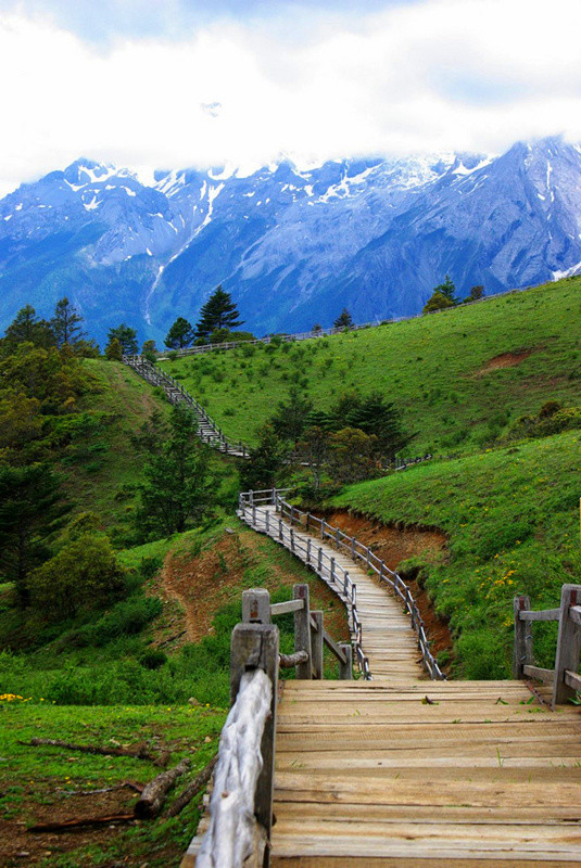 玉龍雪山門票免費政策詳解，玉龍雪山門票免費政策全面解析