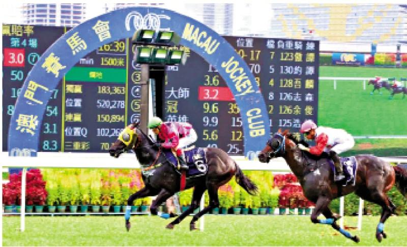 澳門賽馬會，歷史、文化與激情的交融，澳門賽馬會，歷史、文化與激情的盛會