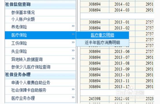 2025新澳門歷史記錄查詢完全指南，澳門歷史記錄查詢完全指南（2025版）