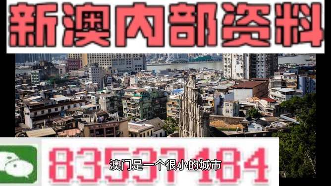 新澳門精準四肖期準，探索背后的秘密與策略，澳門精準四肖期背后的秘密與策略探索