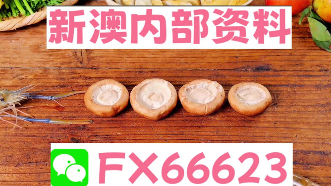新澳全年免費(fèi)資料大全——探索與學(xué)習(xí)資源的寶庫(kù)，新澳全年免費(fèi)資料大全，探索與學(xué)習(xí)資源的終極寶庫(kù)