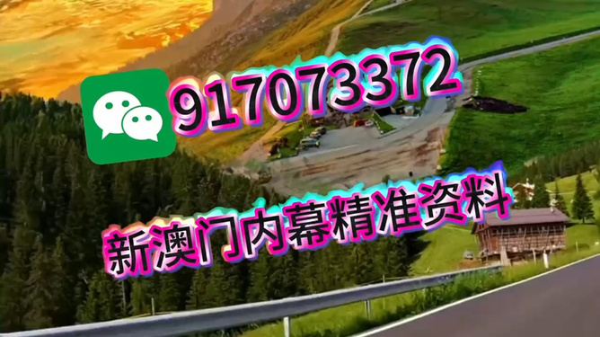 王中王一肖一中特，深度解析與SEO優(yōu)化策略，王中王一肖一中特深度解析與SEO優(yōu)化策略探討