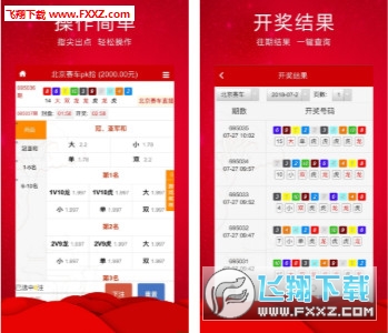 王中王三肖必出一肖，深度解析與探索，王中王三肖必出一肖，深度解析與探索揭秘