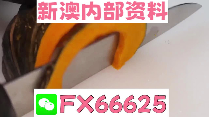 澳門管家婆，揭秘精準預(yù)測的秘密武器，澳門管家婆揭秘，精準預(yù)測的秘密武器全解析