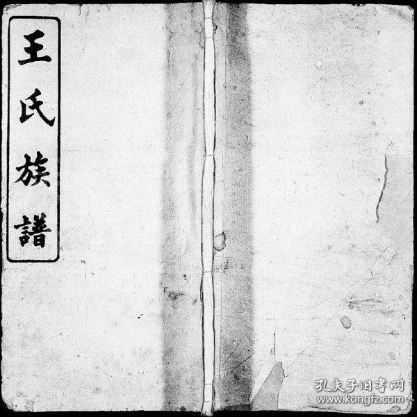 小魚兒一肖王中王興典，探索背后的故事與奧秘，小魚兒一肖王中王興典，背后的故事與奧秘揭秘