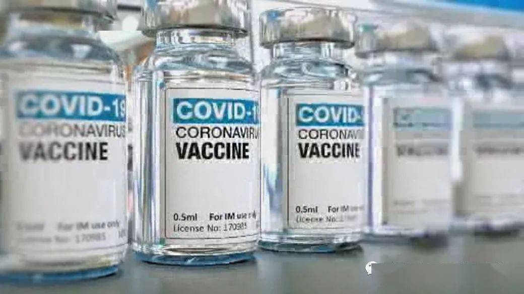 王中王解一肖特，揭秘生肖魅力與獨特之處，揭秘生肖魅力與獨特之處，王中王解讀一肖特