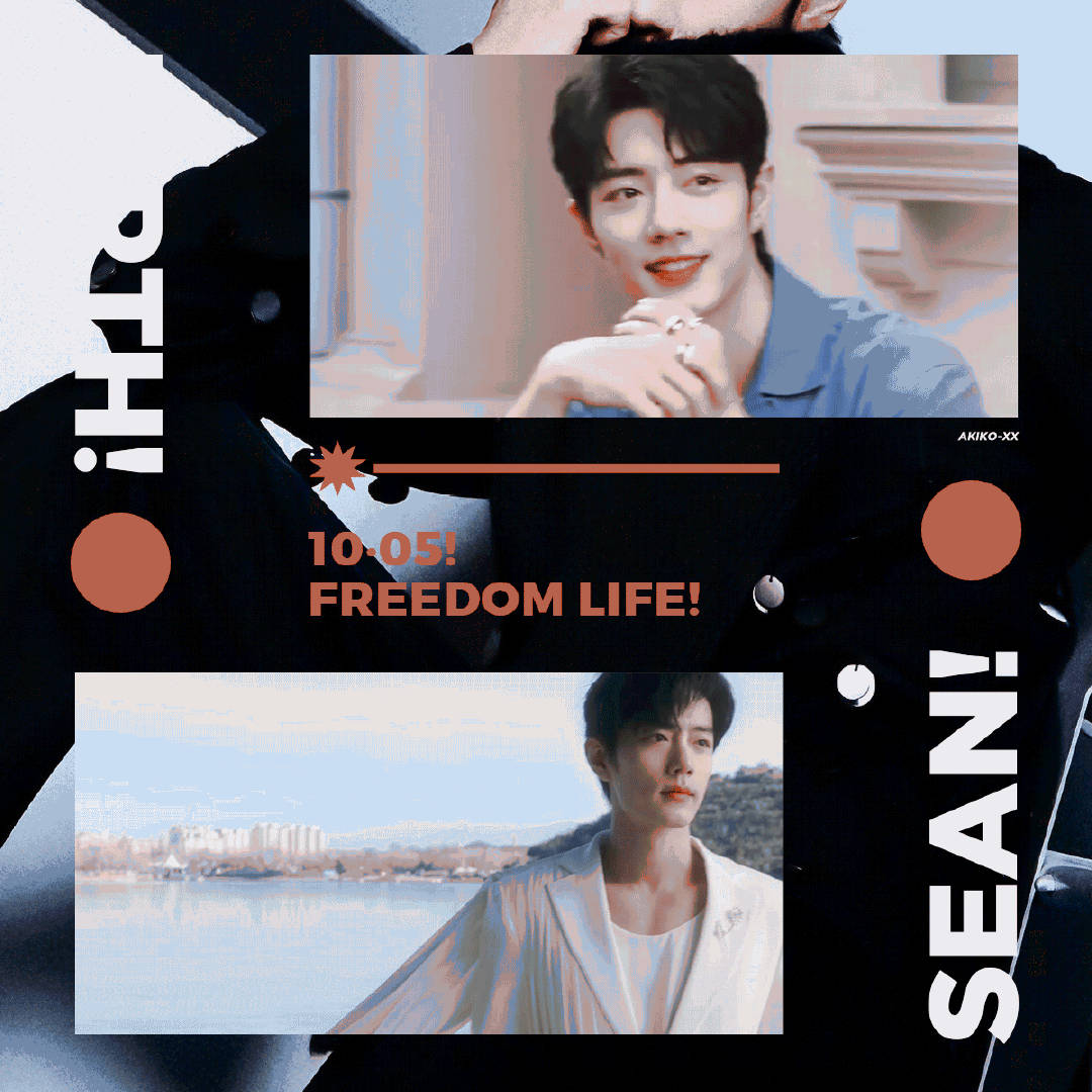 一肖一碼一一肖一子，揭秘生肖與數(shù)字之間的神秘聯(lián)系，揭秘生肖與數(shù)字之間的神秘關(guān)聯(lián)，一肖一碼與子生肖的奧秘