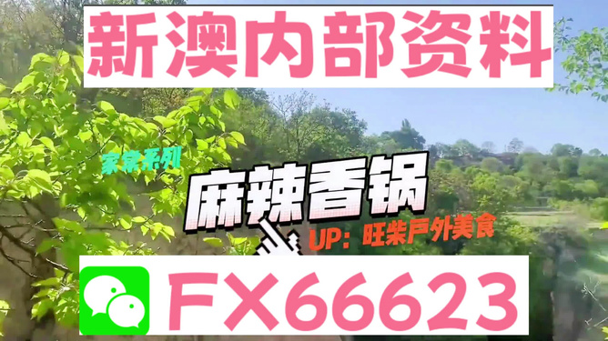 新澳資料最準(zhǔn)的網(wǎng)站，權(quán)威數(shù)據(jù)來源與精準(zhǔn)信息獲取指南，新澳資料最準(zhǔn)網(wǎng)站，權(quán)威數(shù)據(jù)來源與精準(zhǔn)信息獲取一站式指南