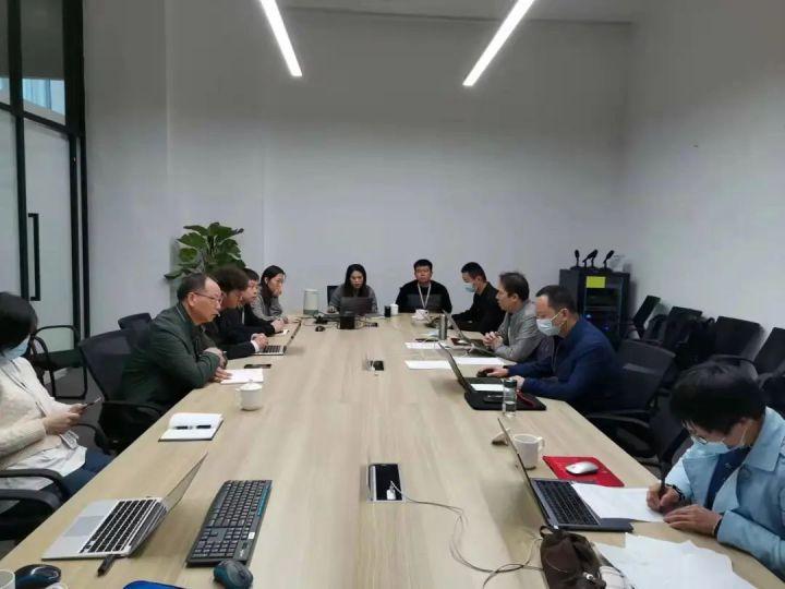 隆平高科股票股，投資潛力與市場前景分析，隆平高科股票投資潛力與市場前景深度解析