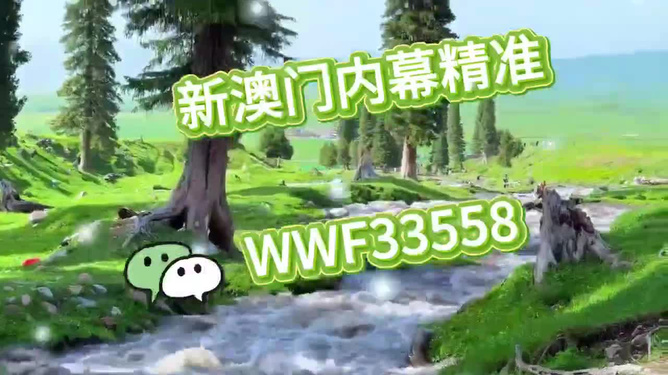 首選王中王打一生肖——揭秘生肖之王的獨特魅力，揭秘生肖之王獨特魅力，王中王所指生肖揭曉