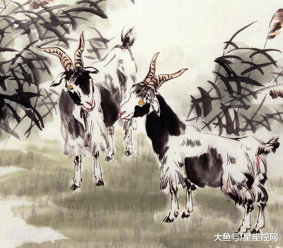 澳門最快開(kāi)獎(jiǎng)六開(kāi)生肖，揭秘彩票背后的秘密，澳門六開(kāi)生肖彩票背后的秘密揭曉