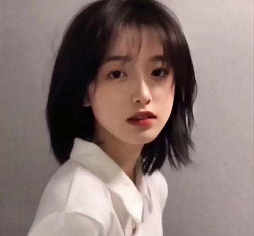 揭秘55049王中王準(zhǔn)一肖的神秘面紗，揭秘，55049王中王準(zhǔn)一肖的神秘面紗揭曉