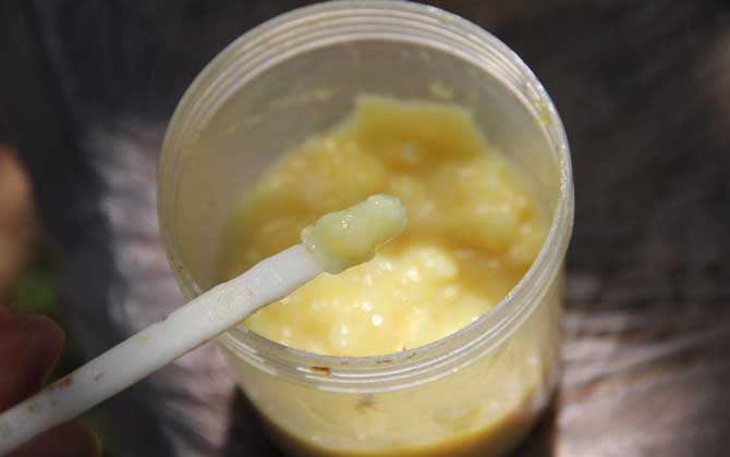 蜂王漿，功效、作用及食用方法詳解，蜂王漿，功效、作用及食用方法全面解析
