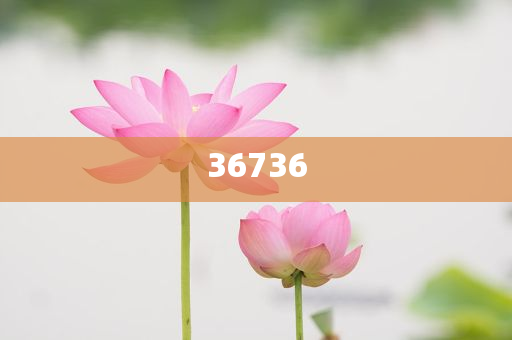 揭秘7777788888精準新傳真，真相大揭秘，揭秘精準新傳真背后的真相，77777與88888的神秘面紗被揭開