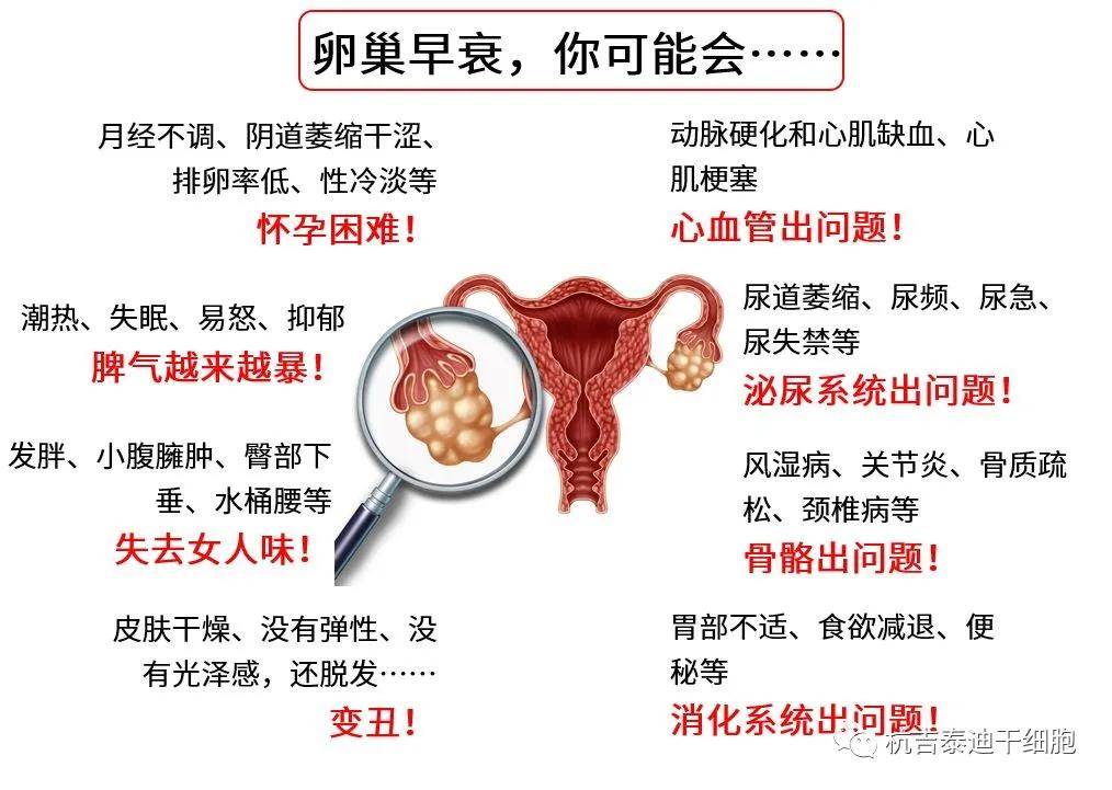 四十歲卵巢早衰能否調(diào)整回來？解讀卵巢早衰與應(yīng)對策略，四十歲卵巢早衰能否調(diào)整回來？解讀卵巢早衰現(xiàn)象及應(yīng)對策略