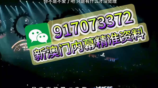 澳門王中王，揭秘一肖中的奧秘，澳門王中王揭秘生肖奧秘