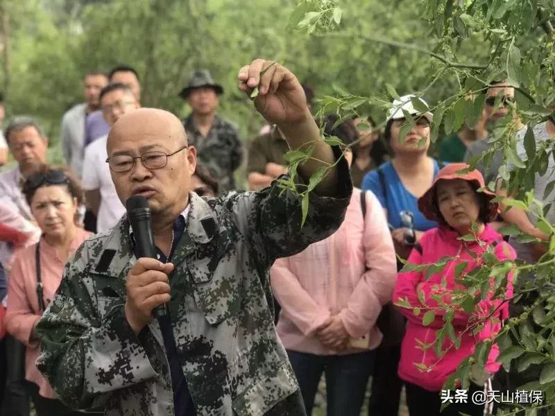 長期吃紅棗的潛在害處，了解并平衡飲食健康，長期食用紅棗的潛在風險與飲食平衡的重要性