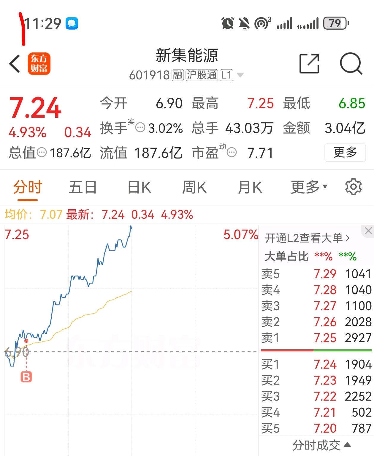 新能股份股票，深度解析與前景展望，新能股份股票深度解析及前景展望