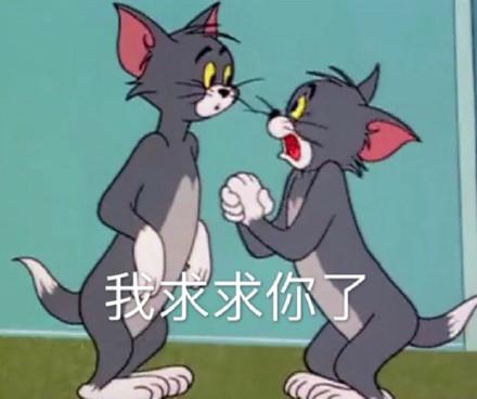 湯姆貓股票股吧，投資熱點(diǎn)與前景展望，湯姆貓股票股吧，投資熱點(diǎn)與未來(lái)前景展望