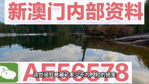 揭秘澳門精準(zhǔn)四不像，預(yù)測未來的趨勢與探索（2025展望），澳門精準(zhǔn)四不像揭秘，未來趨勢展望與探索（2025年預(yù)測）