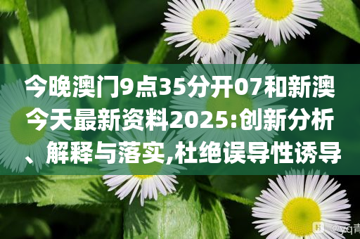 深度解讀與探索