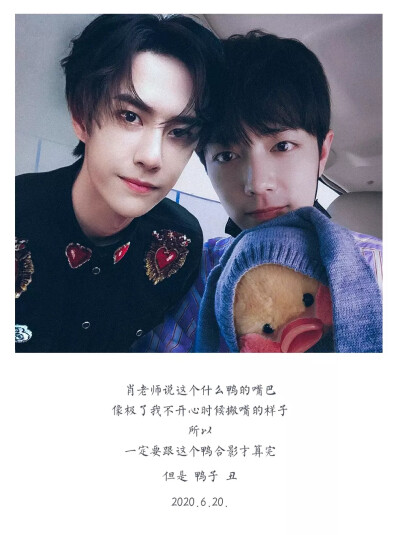 王中王一肖中特一肖精準(zhǔn)預(yù)測——揭秘生肖運(yùn)勢與未來展望，揭秘生肖運(yùn)勢預(yù)測，王中王一肖精準(zhǔn)預(yù)測未來展望