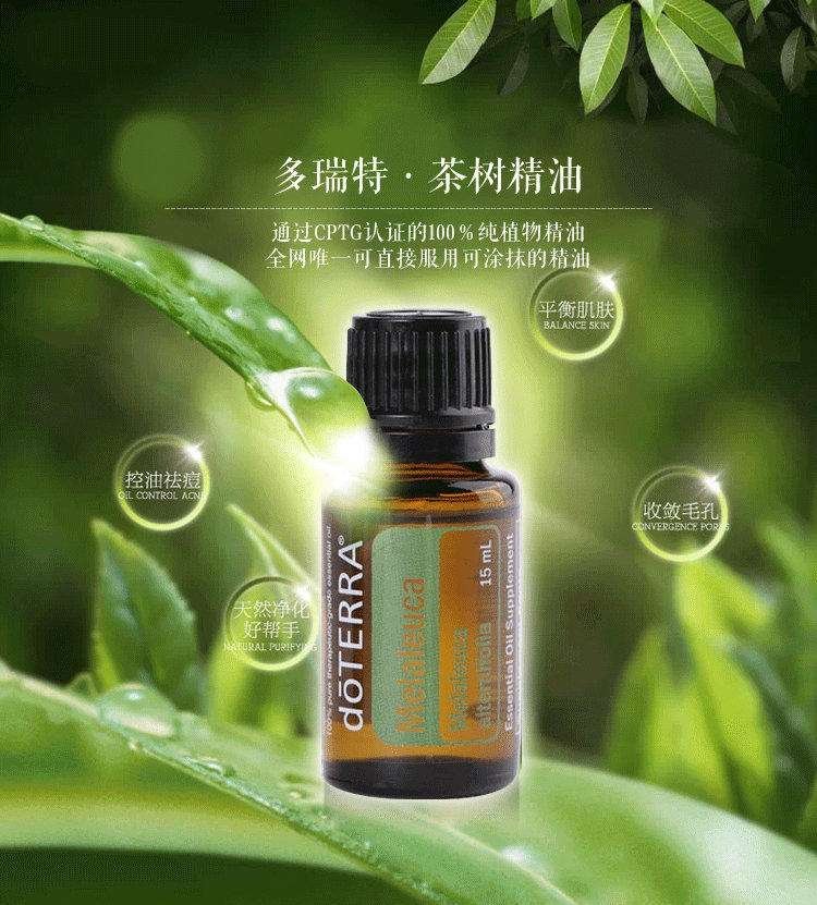 茶樹(shù)精油的功效與作用，深入了解茶樹(shù)精油的多元價(jià)值，茶樹(shù)精油多元價(jià)值揭秘，功效與作用詳解