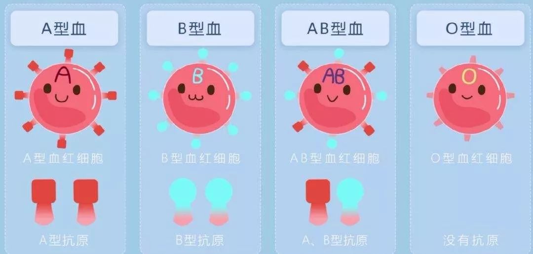 關(guān)于血型相克與不孕不育的問題解析，血型相克與不孕不育關(guān)系解析
