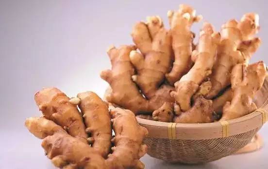 推薦 第19頁