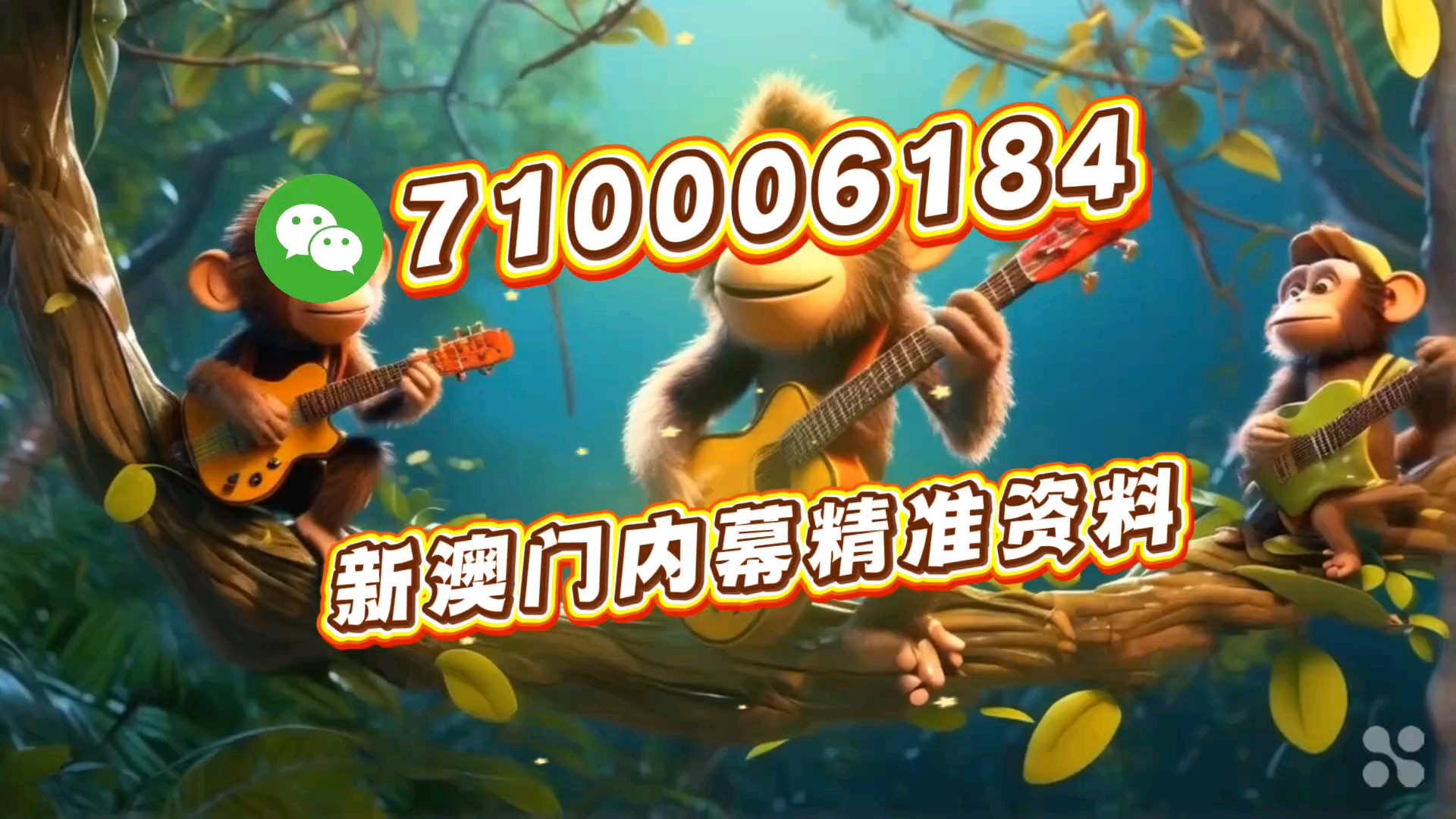 一肖一馬王中王一馬中特的奧秘與探索，一肖一馬王中王，揭秘馬中特的奧秘與探索之旅