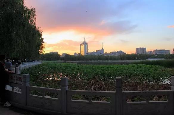 北京值得去的公園排行，探索城市中的綠色寶藏，北京必游公園排行榜，探尋城市中的綠意秘境