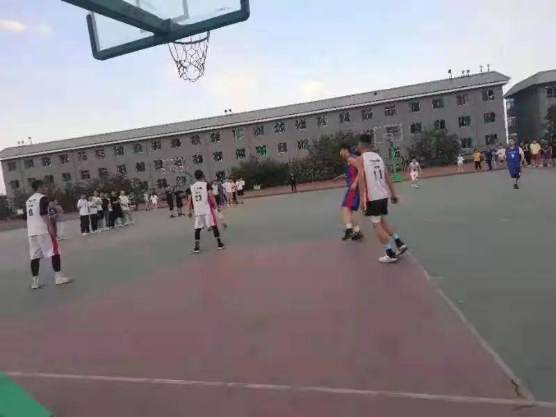 澳門二四六天下彩天天免費(fèi)大全——全面解析澳門彩票文化，澳門彩票文化全面解析，二四六天下彩免費(fèi)大全