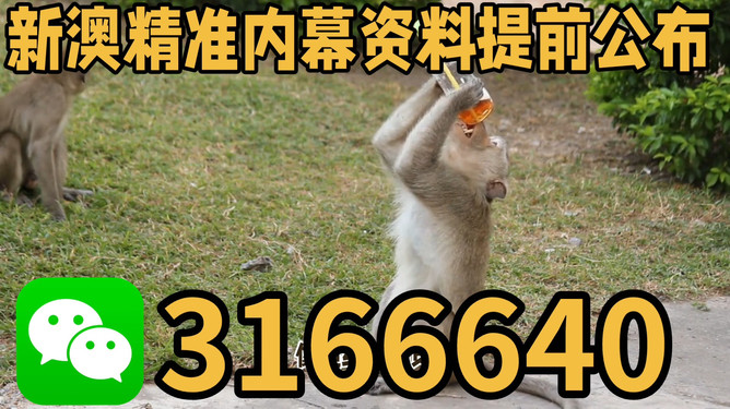 探索澳門特馬文化，四不像的獨特魅力與未來展望（關鍵詞，澳門特馬四不像），澳門特馬四不像文化深度探索，魅力、展望與未來發(fā)展