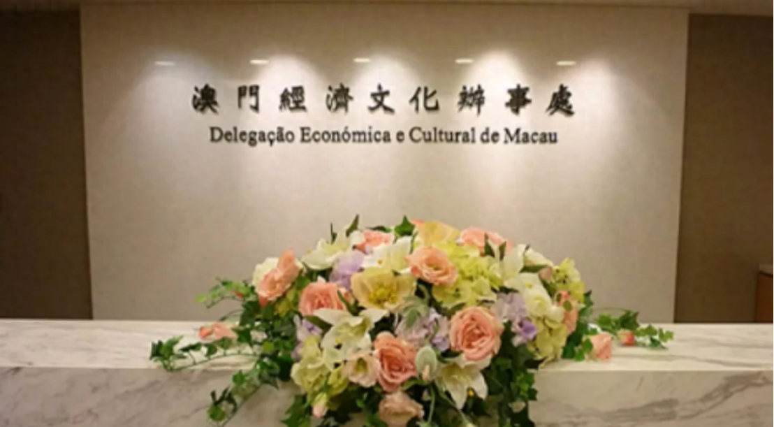 澳門一碼一肖一待一中四不像——揭開神秘面紗下的真相，澳門神秘事件揭秘，一碼一肖一待一中四不像真相探索
