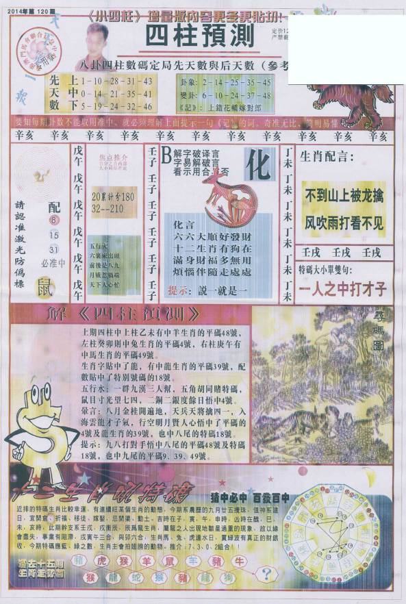 王中王看圖找一肖79期，揭秘生肖奧秘與獨特魅力，揭秘生肖奧秘與獨特魅力，王中王看圖找一肖79期探索之旅