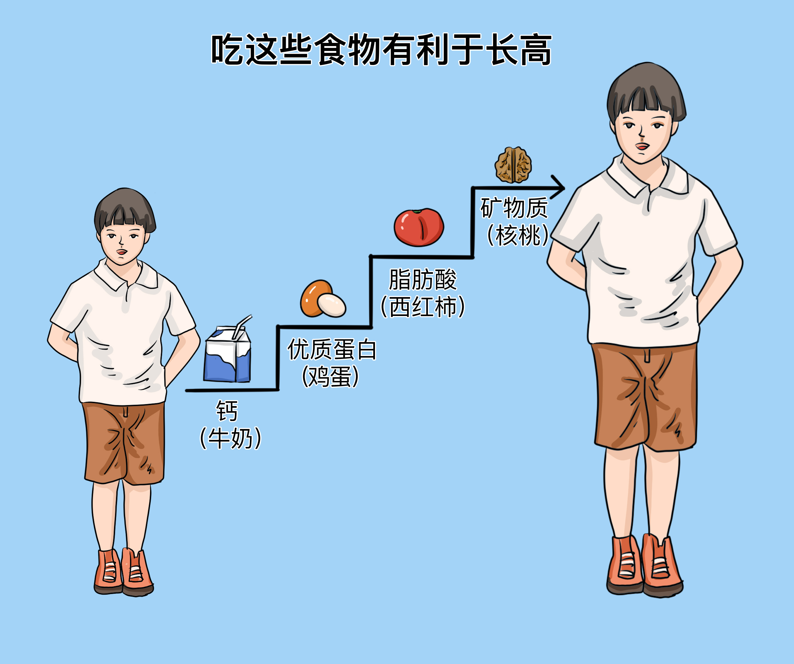 什么食物吃猛長高——助力生長發(fā)育的食物指南，助力生長發(fā)育，猛長高的食物指南