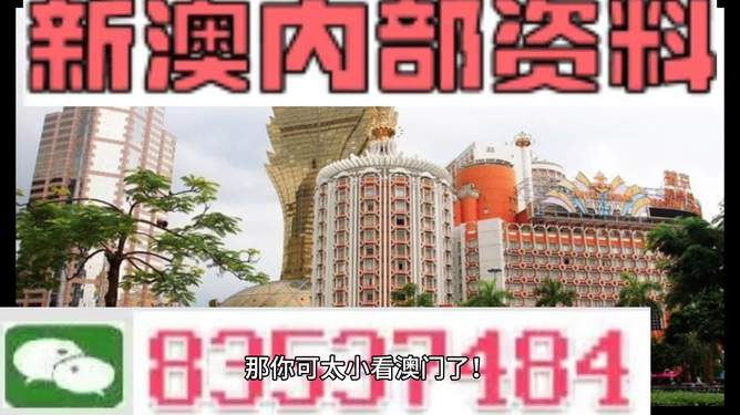 新澳新澳門正版資料，探索與解析，新澳新澳門正版資料深度解析與探索
