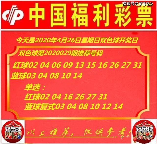 王中王029期指一生肖，揭秘生肖魅力與預(yù)測(cè)背后的秘密，揭秘生肖魅力與預(yù)測(cè)背后的秘密，王中王生肖預(yù)測(cè)第029期揭曉