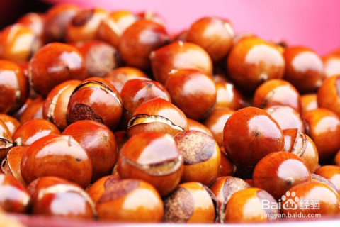 補(bǔ)腎吃什么食物最好——營養(yǎng)食物助力腎臟健康，營養(yǎng)食物助力腎臟健康，最佳補(bǔ)腎食物推薦
