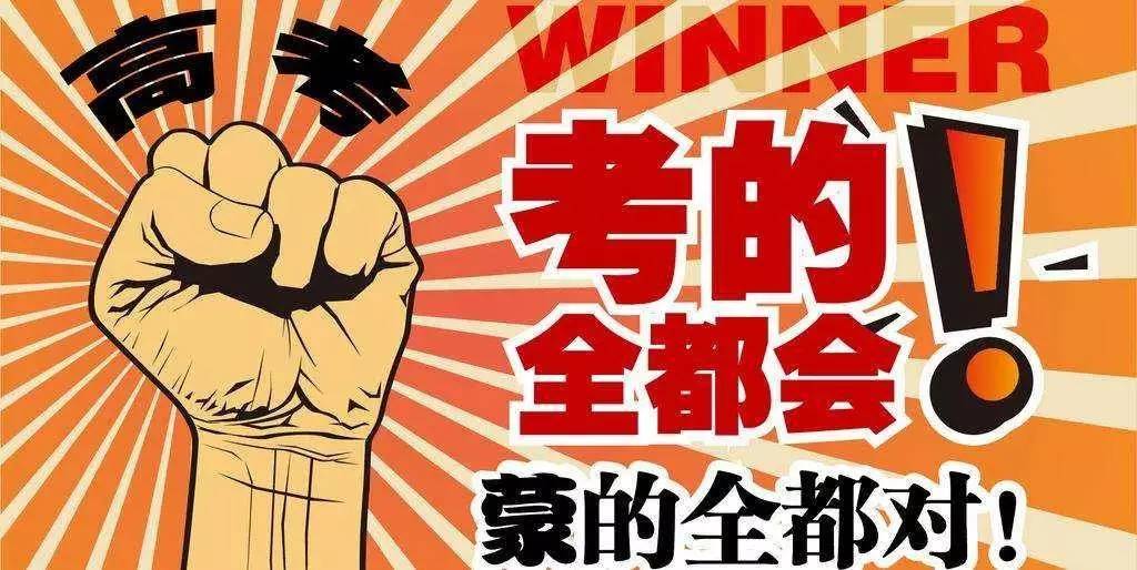 揭秘王中王與肖的不同之處，深度解析第123期，揭秘王中王與肖差異深度解析第123期，獨家對比與解讀