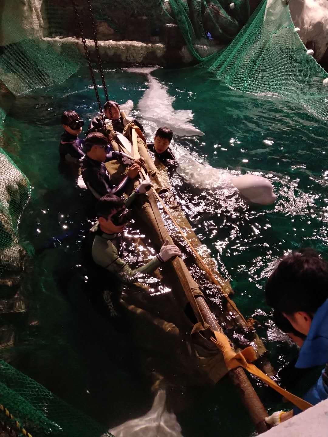 杭州極地海洋公園門票價格詳解，多少錢一張？，杭州極地海洋公園門票價格全解析，費用究竟是多少？