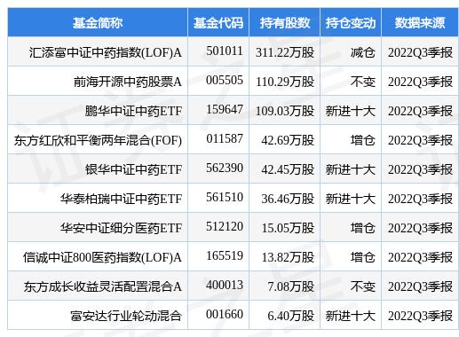 匯添富均衡增長基金凈值，解析與洞察，匯添富均衡增長基金凈值深度解析與洞察