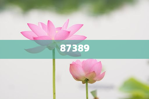 生肖文化