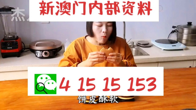 新澳六叔精準(zhǔn)資料大全，揭秘背后的秘密與實(shí)用指南，新澳六叔精準(zhǔn)資料揭秘，背后秘密與實(shí)用指南大全