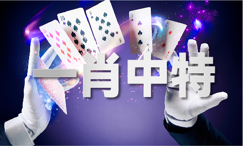 新澳門歷史記錄查詢，探索澳門的歷史軌跡，澳門歷史軌跡探索，新澳門歷史記錄查詢
