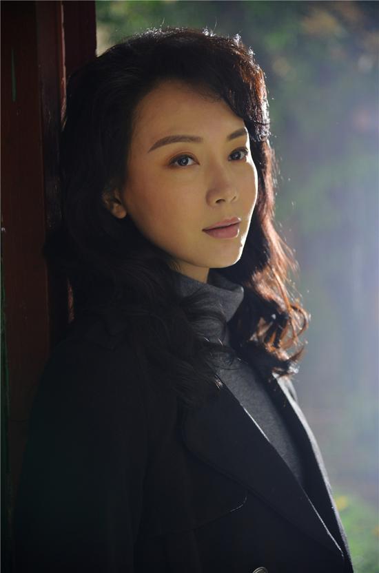 陳數(shù)演的電視劇，演技與魅力的展現(xiàn)，陳數(shù)演技展現(xiàn)，電視劇中的魅力與風(fēng)采