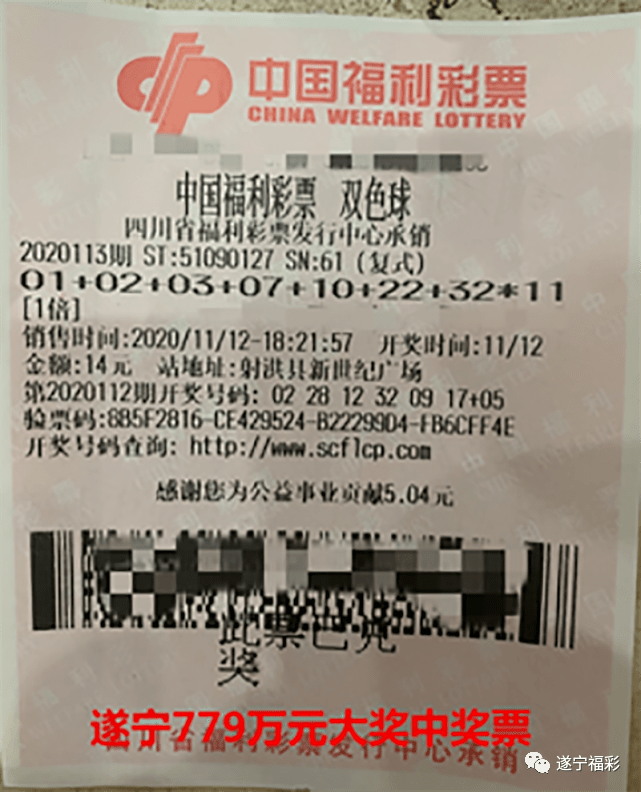 王中王遂寧平臺(tái)一肖中特，深度解析與SEO優(yōu)化策略，王中王遂寧平臺(tái)一肖中特深度解析與SEO優(yōu)化策略探討