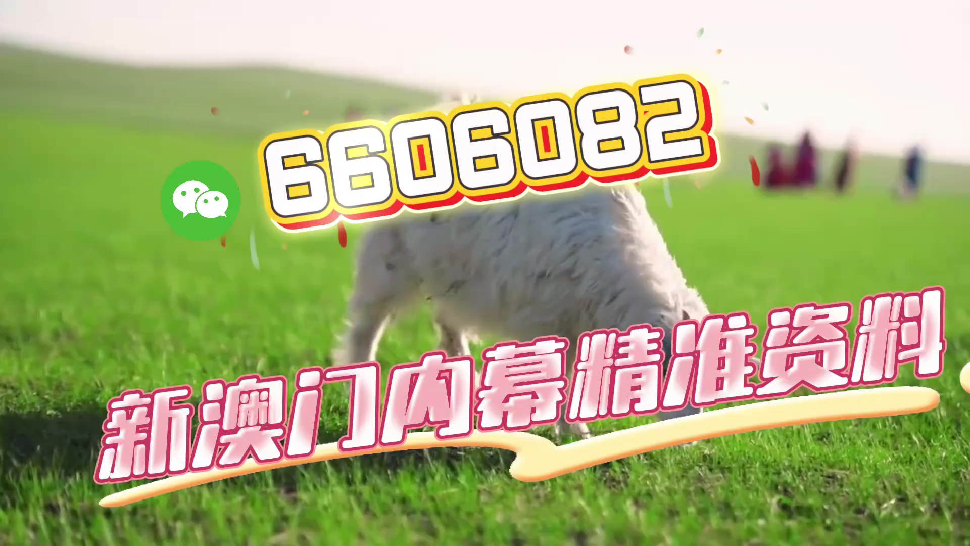 揭秘秘密與真相