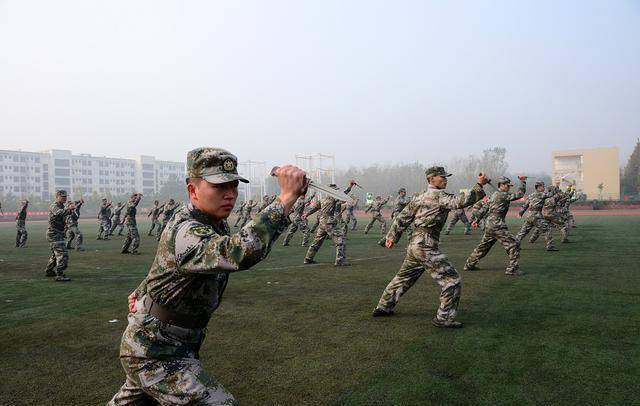 解析軍士長為何不升軍官，背后的原因與考量，解析軍士長晉升停滯背后的原因與考量，為何未能成為軍官？